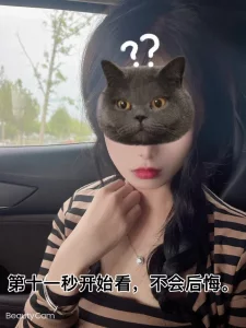 主页有推